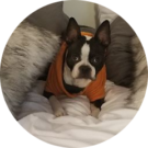 Mary Knowlton Avatar